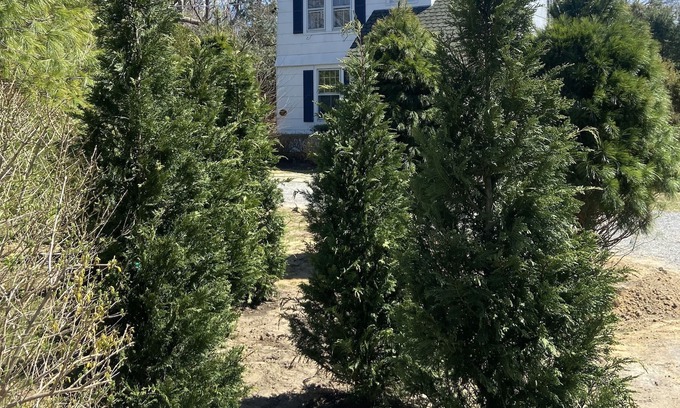 Quogue House | Quogue Village classic beach house