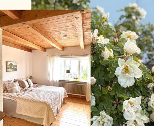 Hammenhog Bed & Breakfast | Rävåkra B&B Österlen