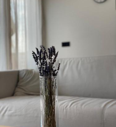 Unterallgau Apartment | Römer Apartment und Zimmer
