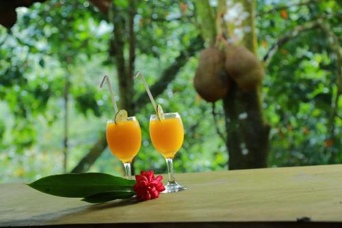 Kalawana Hotel | Rainforest Edge