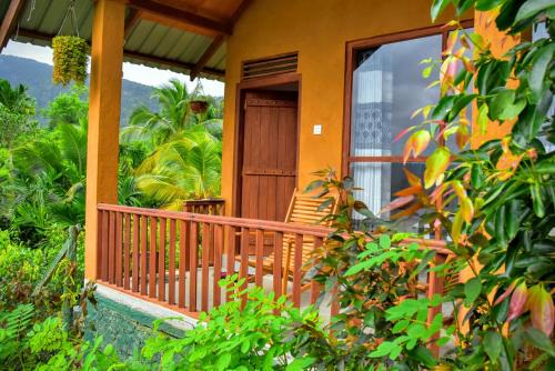 Kotapola Cabin | Rainforest Nature House