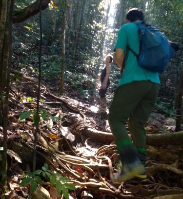 Kotapola Hotel | Rainforest River Edge