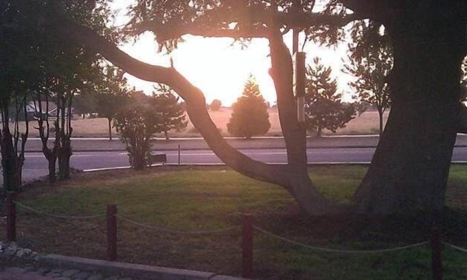 Tehachapi Hotel | Ranch Motel