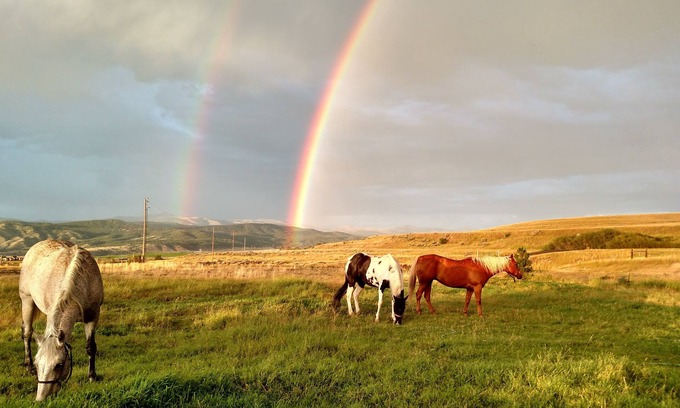 Helena Other | Ranches, Lakes, Mountains & the Great Outdoors. Bring Your Horses Pasture Onsite