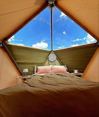 Valle Other | Raptor Ranch Glamping