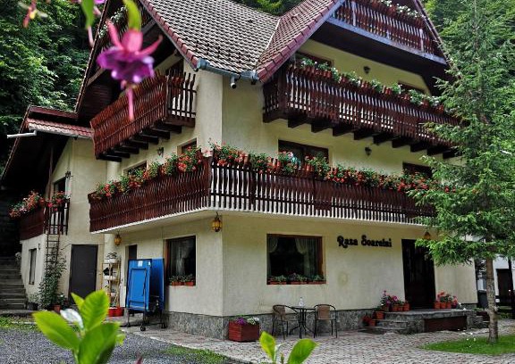 Moeciu de Sus House | Raza Soarelui