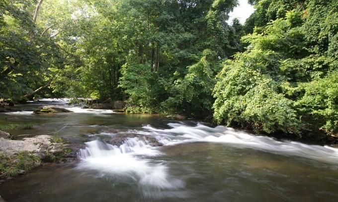 Cosby Cabin | REAL LOG CABIN - TROUT STREAM - 25 MIN TO GATLINBURG - 7 MIN TO NATIONAL PARK