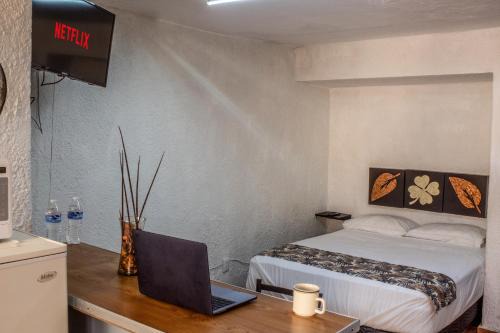 Chapalita Apartment | Refugio Agradable en Chapalita Estilo Clásico 12