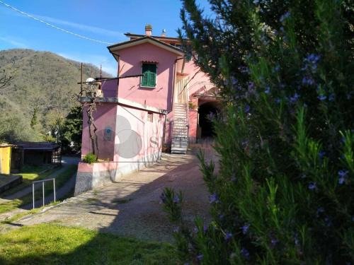 Isola House | Regina Margherita affittacamere
