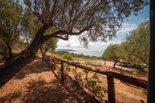 Marina di Pisciotta Other | Regina Villaggio Camping