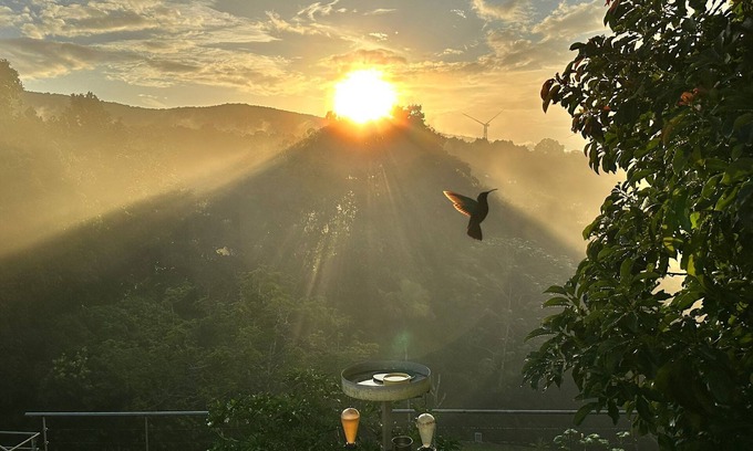 Sainte-Rose Villa | Rejuvenate at Villa Colibri, pool overlooking the forest & Caribbean Sea!