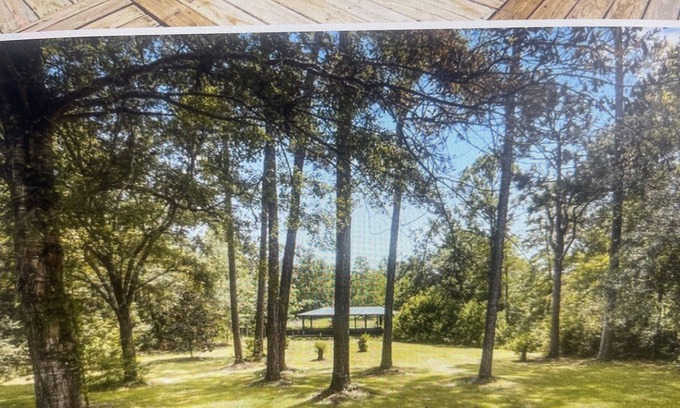 Gautier House | Relax and Enjoy this home on the Bayou