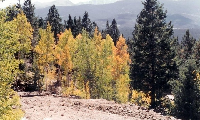 Salida House | Relax & Enjoy the Grandeur of the Colorado Rocky Mountains!