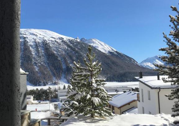 Samedan Apartment | Relaxing confortable studio, heated garage, skiroom