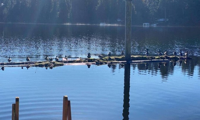 Lakeside Cabin | Relaxing Getaway Lake Cabin with Pristine Views