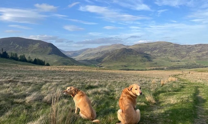 Spittal of Glenshee Cabin | Relaxing mountain lodge for family gatherings and special interest groups