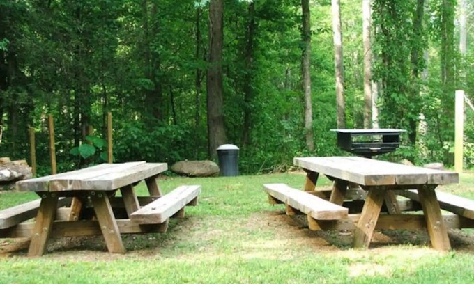 Robbinsville Cabin | Renew & Relax in Tranquil & Comfortable Log Cabin