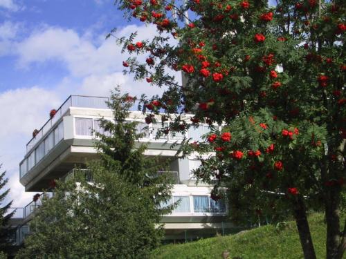 Marilleva Apartment | Res. Marilleva 1400 Apt.Solandra