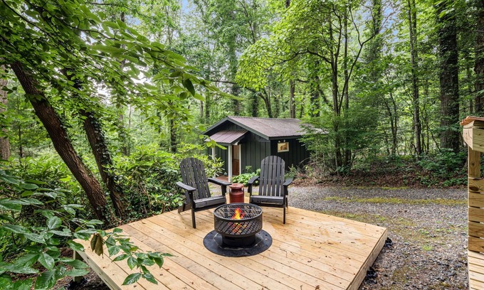 Saluda Cottage | Resilience Road Cottage: Walk to Downtown Saluda, Close to Hiking & Activities!
