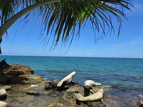 Duong Dong Apartment | Respect Homestay Phu Quoc