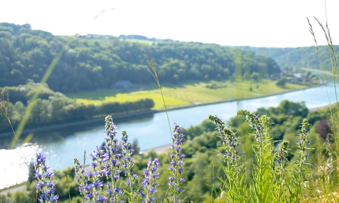 Waulsort Apartment | Retro getaway at the Meuse valley