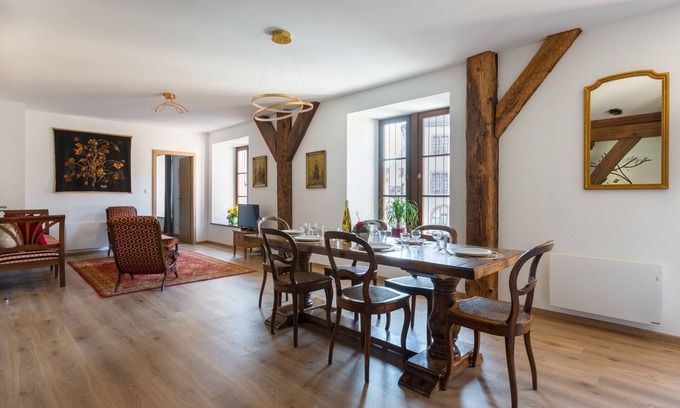 Selestat Apartment | RHENANUS: Martin Bucer 🐕‍🦺🅿️🗝
