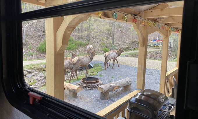 Driftwood House | Rivers, private elk viewing, FREE amenities, site on 62 acres