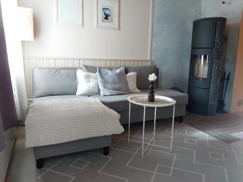 Tahkovuori Apartment | Rivitalon lomahuoneisto Tahkolla