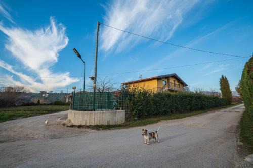 Macchia d'Isernia Bed & Breakfast | Roberta House