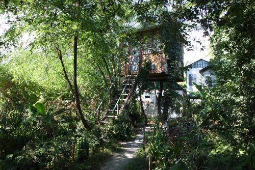 Lagodekhi House | Robinson Crusoe