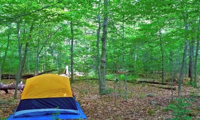 Cullman RV Rental | Rock The South Car Camping Walk To Rock The South