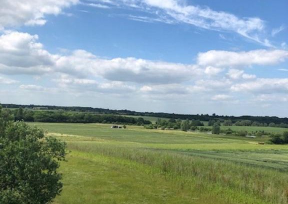 Layer Marney Other | Rockinghams Farm