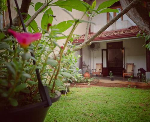 Pamankada East House | Room by the MANGO TREE