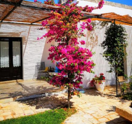 Rosa Marina House | Room in BB - Spacious double room in ancient Masseria near the sea in a quiet olive trees