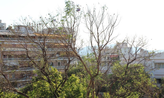 Nea Chalkidona Apartment | Room in the flat of an old Athenian painter