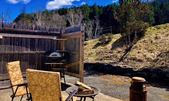 Margaretville House | Rosa Cottage and Guesthouse - your own compound 10 min to skiing. Pet Friendly!