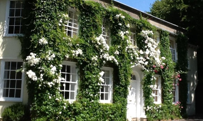 Mithian Hotel | Rose in Vale Country House Hotel