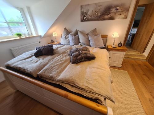 Weissenstadt Apartment | Rosenzauber Gipfelstürmer