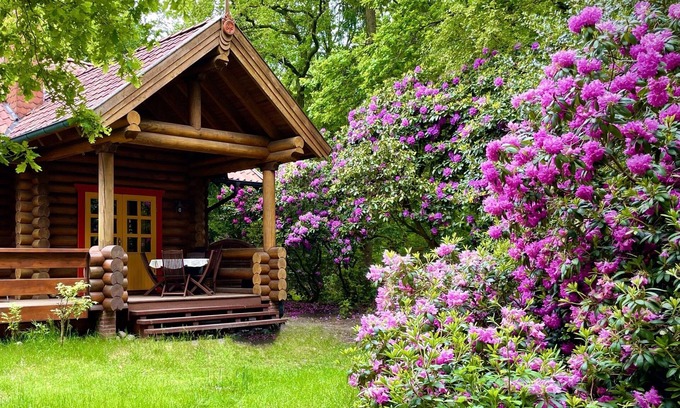Mollberg House | Round log block Haus am Waldsee