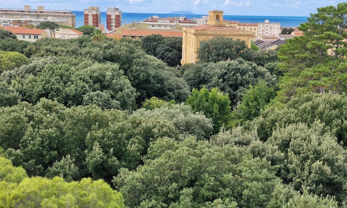 Livorno Apartment | Royal House