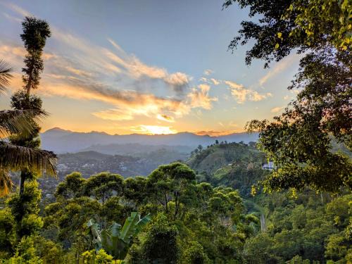 Ella Bed & Breakfast | Royal Mount Ella