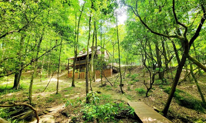 Suches Cabin | Ruhewald Cabin - Hot Tub, 3 Creeks w/Waterfalls, Remote