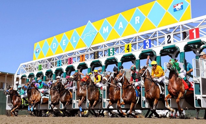 Solana Beach Condo | Run to Del Mar for Breeders Cup week! Spacious, fully equipped 1BR condo!