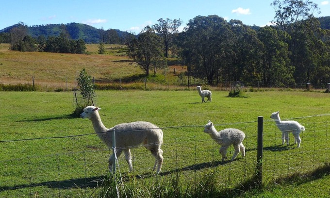 Mount George Cottage | Rural Ambience with Netflix. Two bedrooms / Breakfast incl / Kitchen. Sleeps 4.