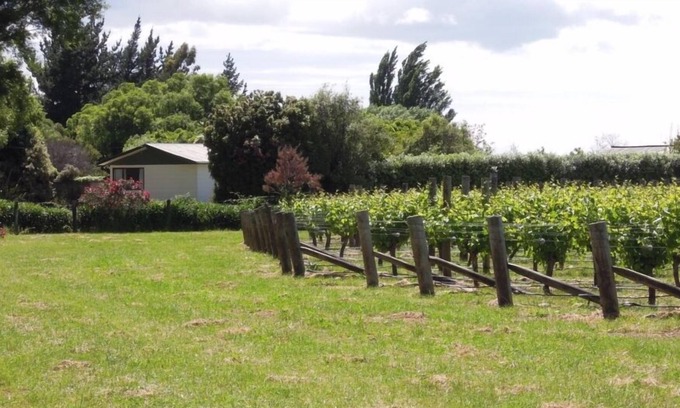 Seddon Cottage | Rural Little Oasis Vineyard, Seddon near Blenheim, wine tasting