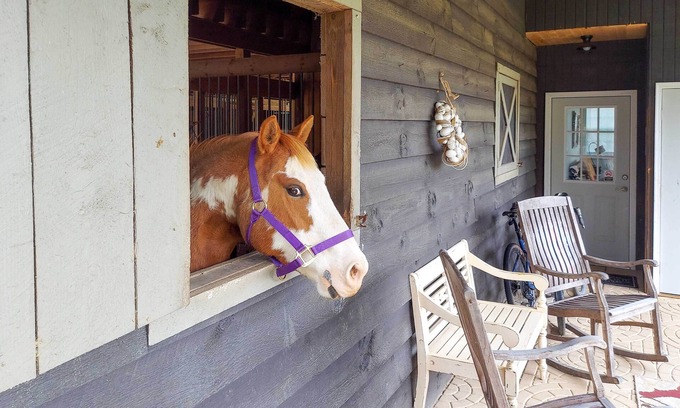 Hendersonville Cottage | Rustic & Authentic Farm Stay by Dupont Forest!