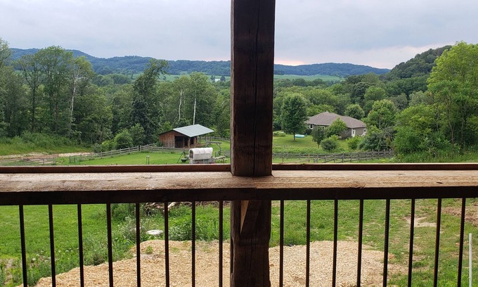Sparta Cabin | Rustic Cabin on 7 Acres