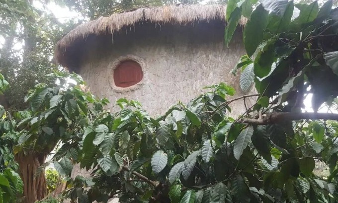 Kaimane House | Rustic Charm Wayanad - The Roots (Treetop Suite)