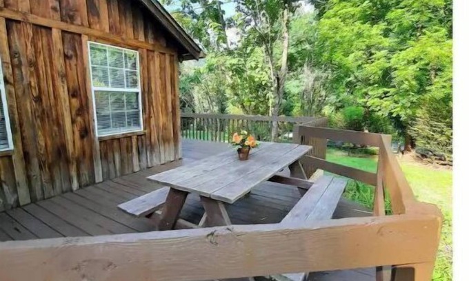 Whittier Cabin | Rustic Mountain Cabin with a modern twist!