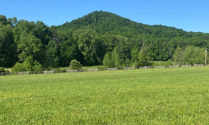 Clay City RV Rental | RV Campground at The Holler #8